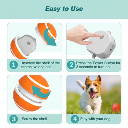 Petnix™ BouncePlay Pro – Smart Play & Exercise