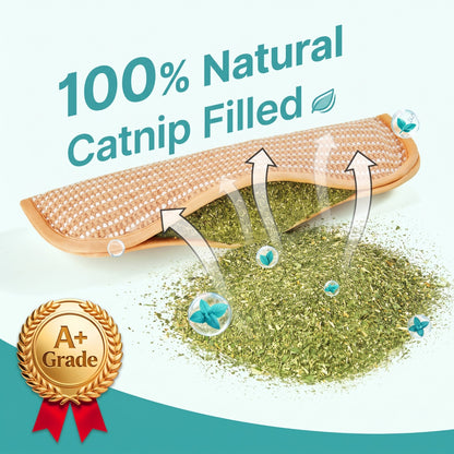 Petnix™ CatnipKick Pro – Interactive Play & Stress Relief